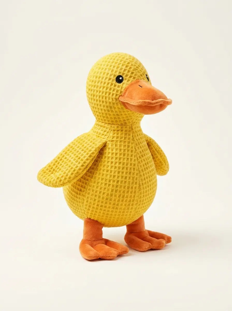 Jouet canard couinant pour chien — Peluche résistante