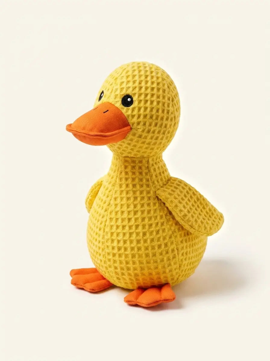 Jouet canard couinant pour chien — Peluche résistante